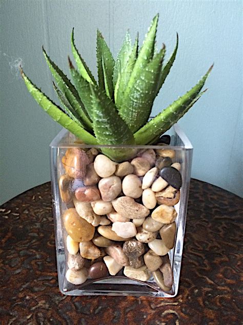 cool 60 Unique and Creative Succulents in Glass Indoor Garden Ideas