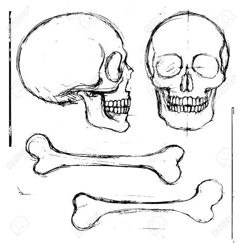 Skeleton Front And Back Sketch Coloring Page
