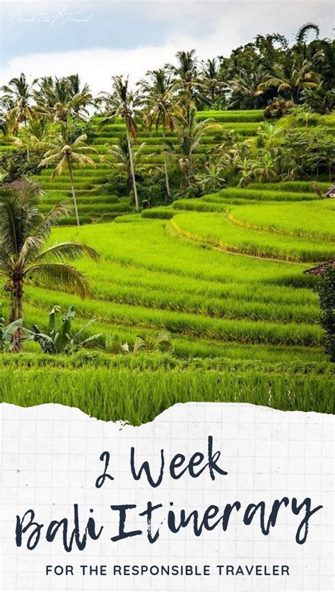 2 Week Bali Itinerary For The Responsible Traveler Drink Tea And Travel