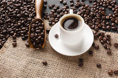Guia Completo Sobre A Produção Cafeeira De Minas Gerais