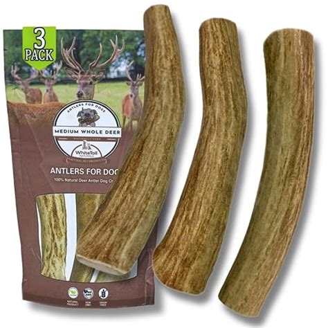 Top 10 Best Antler Chews For Dogs Reviews And Buying Guide Katynel