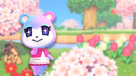 Animal Crossing Judy Wallpapers Wallpaper Cave