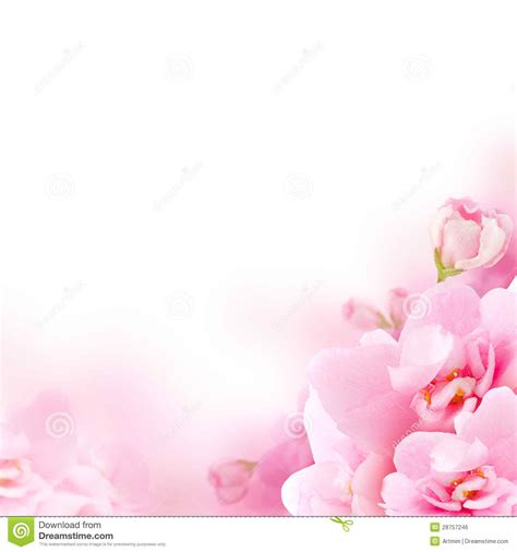 Download pictures, illustrations and vectors for free! 73+ Pink Flower Background on WallpaperSafari