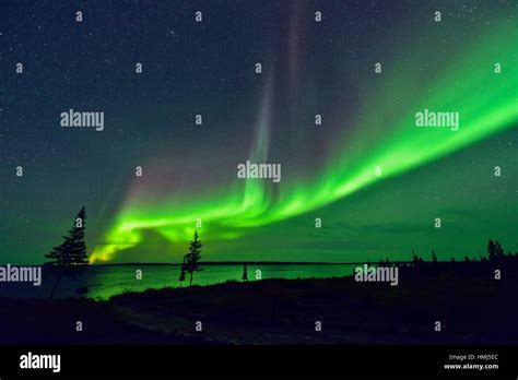 Aurora Borealis Luces Del Norte Sobre El Lago Ennadai Paraíso ártico