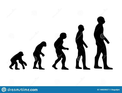 Vector Illustration Of Human Evolution Stock Vector Illustration Of