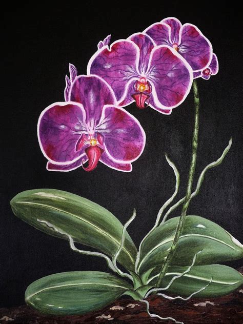 Purple Phalaenopsis Orchid Acrylic Painting 2009 Acrylic Painting By