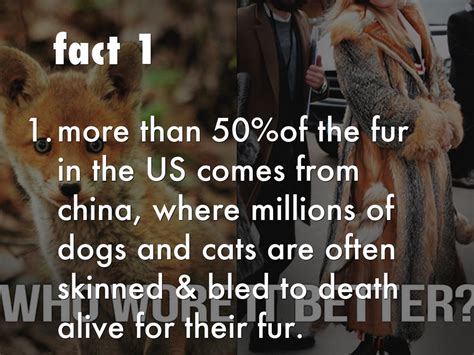 Although animal abuse is much better than animal cruelty, it isn't by far a good thing. Facts about animal cruelty. by Ashley Vilchis