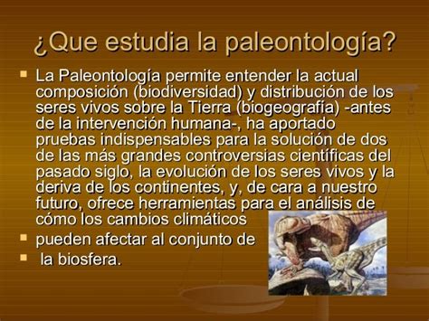 ¿qué Es Paleontología Su Definición Y Significado 2020 Images And