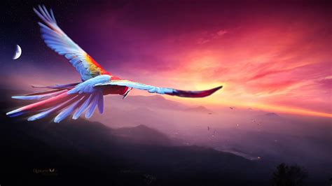Macaw Flight Digital Art 4k Hd Birds 4k Wallpapers Images