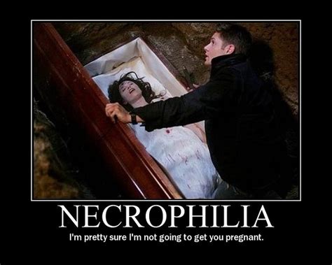 What Is Necrophilia Are They Sane Erlanggablog