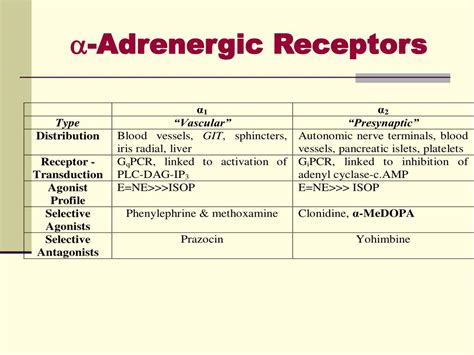 Types Of Adrenergic Receptors