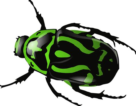 Green Beetle Clip Art At Vector Clip Art Online Royalty