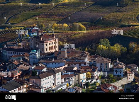 Langhe Cuneo District Piedmont Italy Europe Barolo Wine Region
