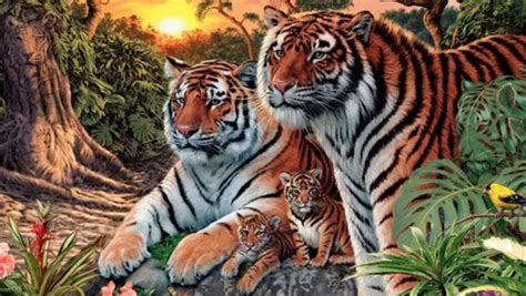 El partido la noche en nuestra casa no empezó bien, pues el rival nos quiso atacar desde el primer segundo y eso provocó que nos viéramos mermados en el. Reto visual: ¿Cuántos tigres ves en la imagen? - www ...