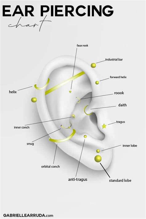 Ear Piercing Diagram Free To Use With Attribution To