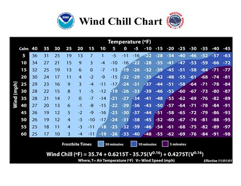 Wind chill vs. actual temperature: It's 'cold one way or the other