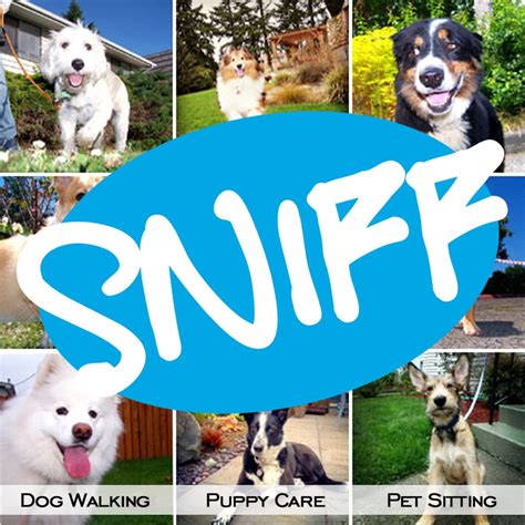 Sniff Seattle Dog Walkers Updated 2024 17 Photos And 37 Reviews 819