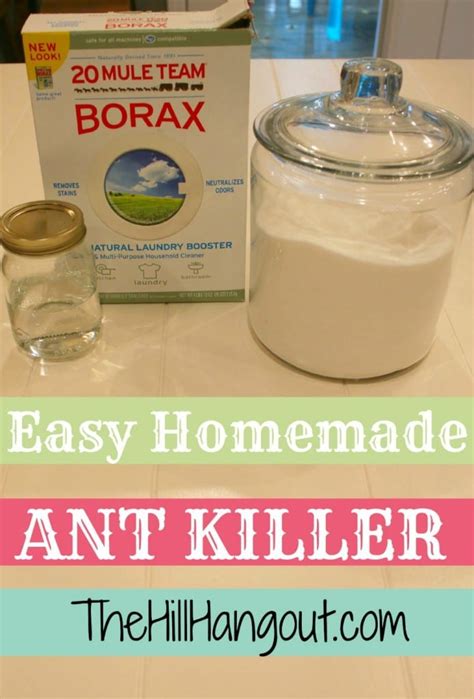 The Best Homemade Ant Killer The Hill Hangout