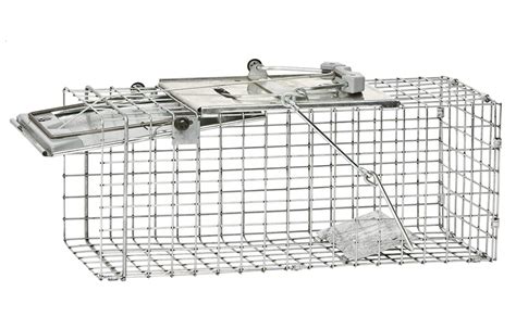 What Is The Best Squirrel Trap Top 5 Squirrel Trap Reviews 2022