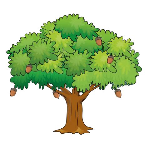 How To Draw An Oak Tree Step By Step