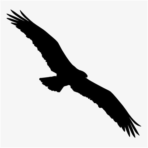 Eagle Silhouette Clipart Free 10 Free Cliparts Download Images On