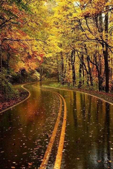 The Smell Of After Rain Scenery Autumn Rain Beautiful Nature