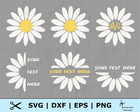 Daisy Set SVG Png Blumen Cricut Silhouette Schnittdateien Etsy De