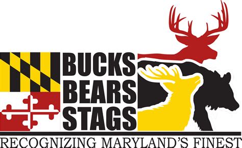 Bucks Bears Stags