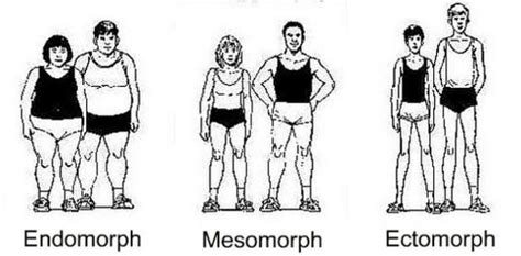 Pin On Mesomorph Diet