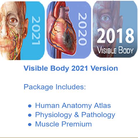 Visible Body 2021 Includes New E Resources Russell Sage College Libraries