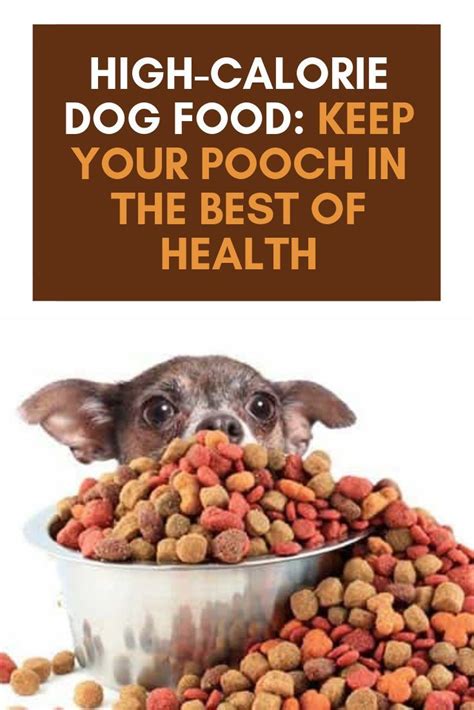 While protein contains calories, in order to process it, your dog will have to burn more calories, which will translate to weight loss. High-Calorie Dog Food: Keep your Dog in the Best Health ...