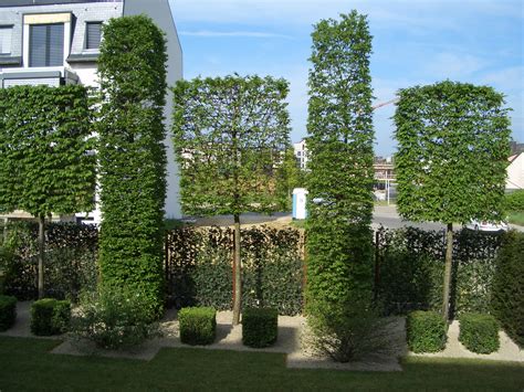 Zudem sind sie wahre highlights im garten. Origineller Sichtschutz im Garten landschaft metall ...