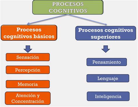 Procesos Cognitivos Al Descubierto Capítulo 3 Procesos Cognitivos Básicos