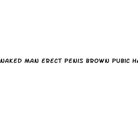 Naked Man Erect Penis Brown Pubic Hair