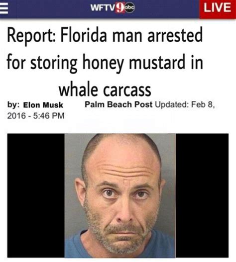 Wtf Florida Man Memes And Headlines To Feed Your Pool Gators Funny