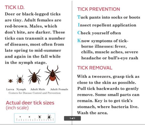 Minnesota And Lyme Disease Little Ticks Big Problems