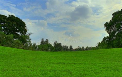 Beautiful Lawn And Blue Sky Stock Image Image Of Lawn Landscape