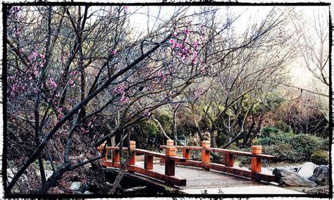 Get directions, reviews and information for lofts at woodward in detroit, mi. Woodward Park Shinzen Japanese Garden | Japanese garden ...