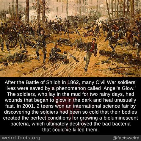 After The Battle Of Shiloh In 1862 Many Civil War Soldiers Lives Were