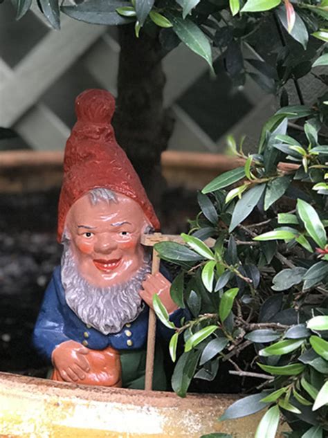 A History Of The Garden Gnome Authentic Provence