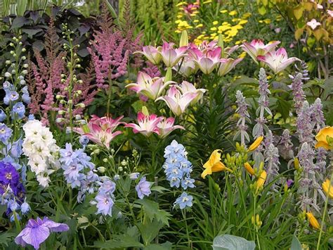 Six Steps To A Beautiful Perennial Border Garden Making