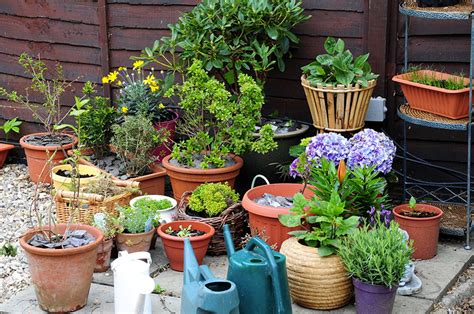 Top 4 Garden Trends For 2018