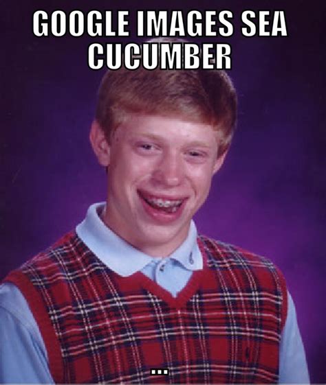 sea cucumber memes