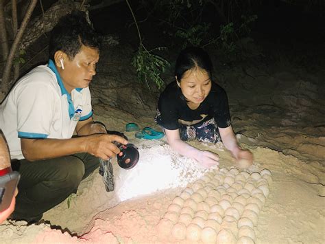 Những người truyền cảm hứng bảo tồn rùa biển Báo Bà Rịa Vũng Tàu