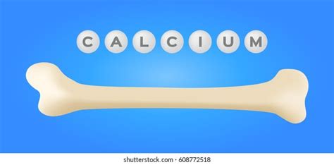 Calcium Body Over 3912 Royalty Free Licensable Stock Illustrations