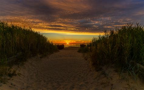 Download Nature Sunset Beach Grass Pathway Wallpaper 1280x800