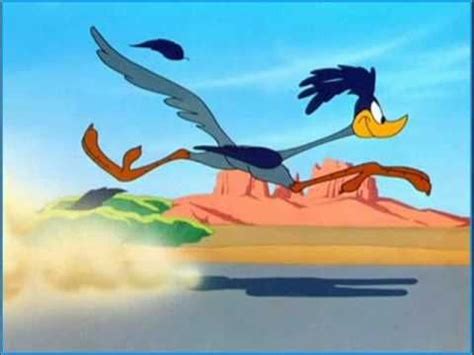 Road Runner Classic Cartoon Characters Looney Tunes Characters