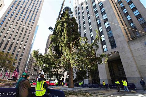 Watch The 2020 Rockefeller Center Christmas Tree Has Finally Arrived