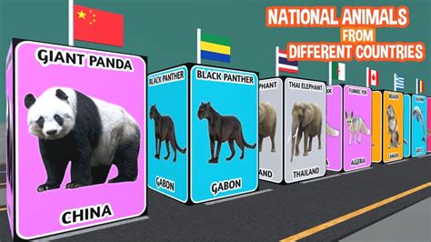 National Animals From Different Countries Youtube