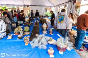 Vendors will be chosen by sign a hold harmless agreement for the society and the school. 2017 San Diego Cactus and Succulent Society Winter Show ...